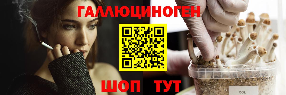 Белово  Псилоцибиновые грибы мухоморы  Вход с VPN 